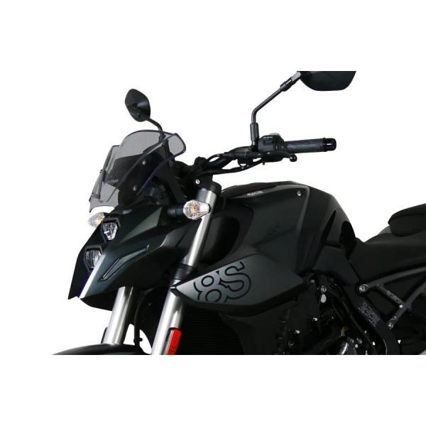 MRA (エムアールエー) スクリーン スポーツ スモーク GSX-8S 4025066174874