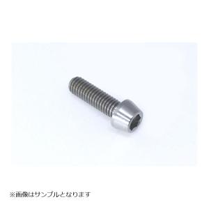 GALE SPEED (ゲイルスピード) チタン テーパーボルト M10x1.25 25mm SC1012525｜plot-store2