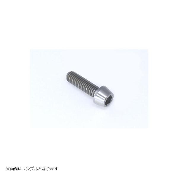 GALE SPEED (ゲイルスピード) チタン テーパーボルト M10x1.25 25mm SC1...