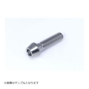 GALE SPEED (ゲイルスピード) チタン テーパーボルト M10x1.25 65mm SC1012565S｜plot-store2