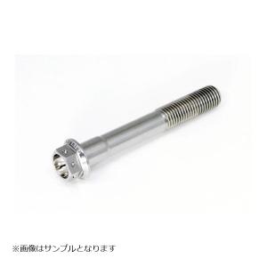 GALE SPEED (ゲイルスピード) チタン フランジボルト レーススペック M6x1 50mm SH0610050S｜plot-store2