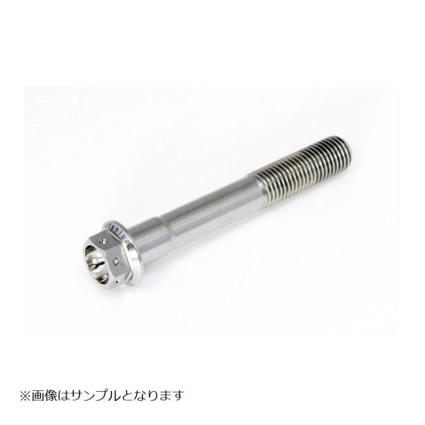 [特価品]ゲイルスピード チタン フランジボルト レーススペック M6x1 55mm SH06100...
