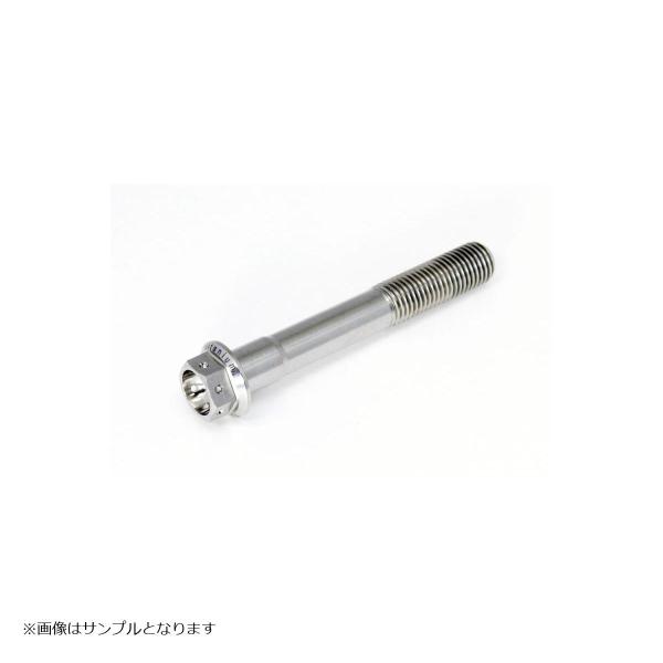 GALE SPEED (ゲイルスピード) チタン フランジボルト レーススペック M8x1.25 3...