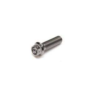 ゲイルスピード チタン フランジボルト レーススペック M10x1.25 35mm SH1012535S｜plot-store2