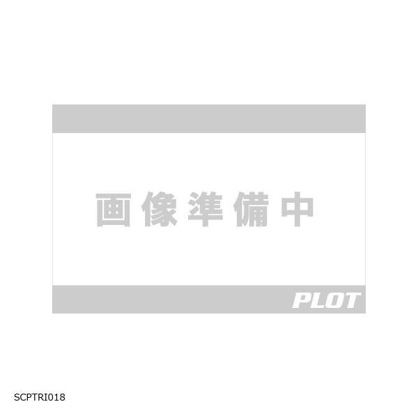 R&amp;G (アールアンドジー ) R＆G Second Skin TIGER900 Rally PRO...