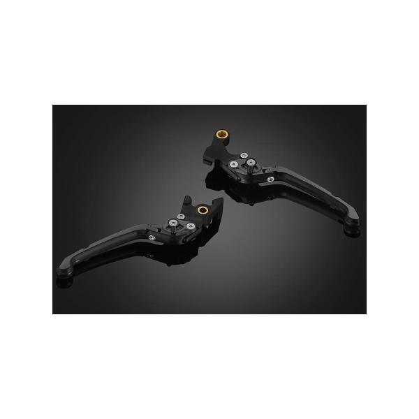 BIKERS (バイカーズ) レバーセット 可倒式 プレミアムタイプ グレー CBR650R/CB6...