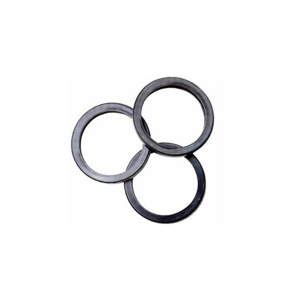 RotopaX (ロトパックス)  リペアガスケット RotopaX (ロトパックス) 社エコノズル...