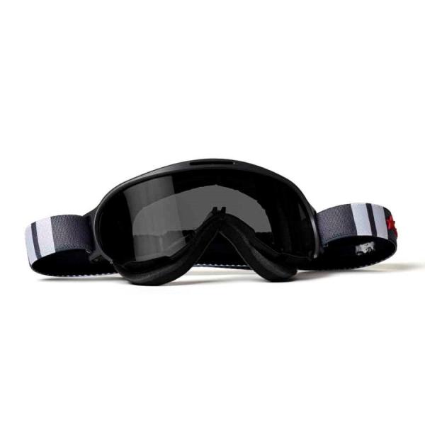 アリート WABI ゴーグル ライトセンシティブレンズ グレー/ホワイト 14980-LNGB