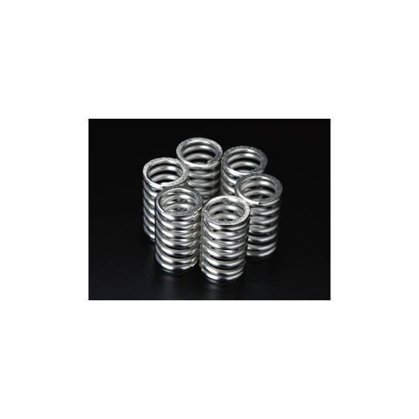 AELLA(アエラ) クラッチスプリング ニッケルメッキ 4/2バルブ1000cc AE-23005