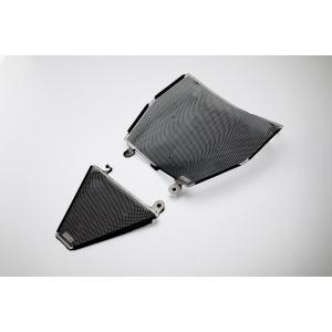 AELLA（アエラ） ライディングステップキット ブラック MONSTER系 AE