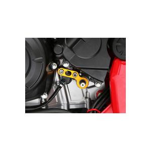 AKRAPOVIC（アクラポビッチ） スリップオンライン (カーボン) マフラー