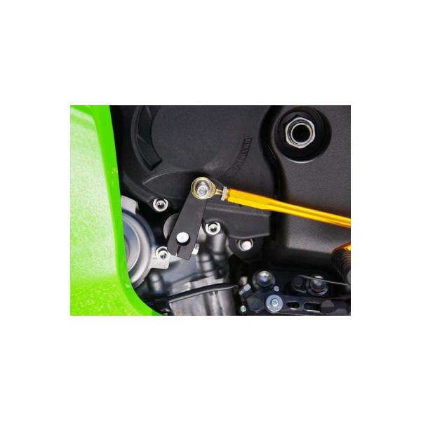 BABYFACE(ベビーフェイス) リバース ZX10R