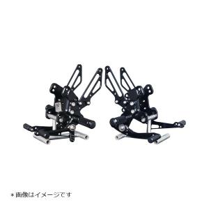 専用ページ babyface（ベビーフェイス） BABYFACE Ninja1000/Z1000SX Z1000 バック