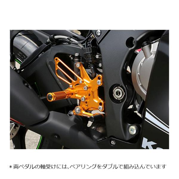 BABYFACE (ベビーフェイス) バックステップ ゴールド ZX10R 002-K028GD