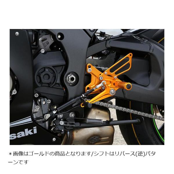 BABYFACE (ベビーフェイス) バックステップ リバース シルバー ZX10R 002-K02...