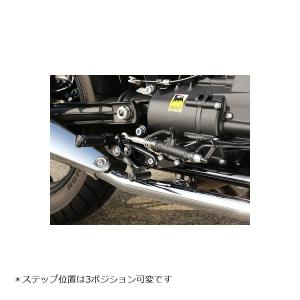 DAYTONA（デイトナ） リアフェンダー ステンレスショート 250TR