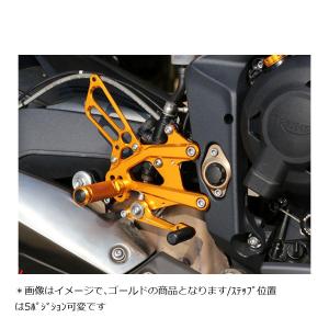 KITACO（キタコ） カーボンメーターバイザー アドレスV125S : バイク