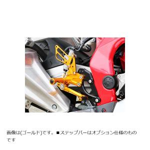 AKRAPOVIC（アクラポビッチ） スリップオンライン (カーボン) マフラー