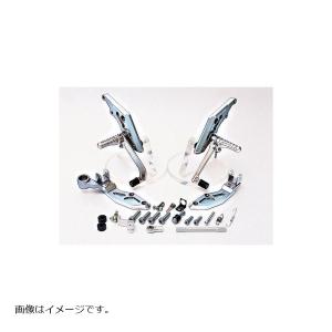 BEET（ビート） ハイパーバンク バックステップ カラーオーダー カラー