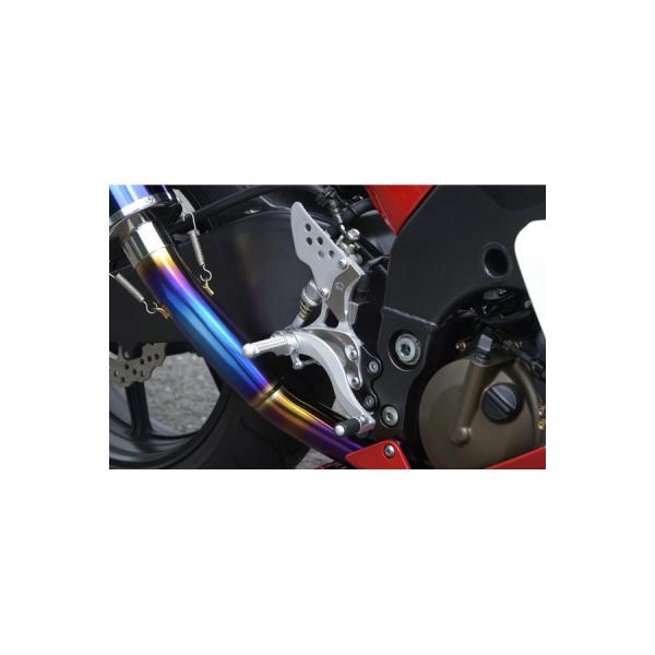 BEET (ビート) ハイパーバンク 固定式 シルバー ZX10R 04-05 0111-K80-2...