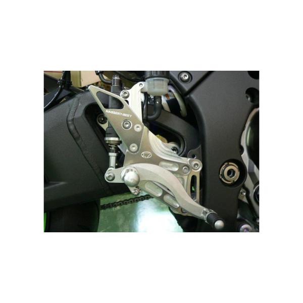 BEET (ビート) ハイパーバンク 固定式 シルバー ZX-10R 11-15 0111-KB3-...