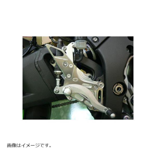 BEET (ビート) ハイパーバンク 固定式 シルバー ZX-10R ABS 11-15 0111-...