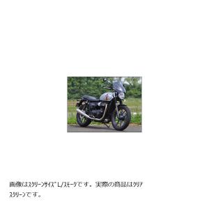 カワサキ ニンジャ ZX-25R / SE 2020-2022 LCIPARTS ツインエンド
