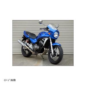 STRIKER（ストライカー） エアロデザイン アンダーカウル 黒ゲル