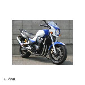 ワールドウォーク（WORLD WARK） GSX1400 ビキニカウル [DS-01] タイプ