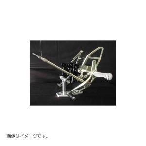 CLEVER WOLF（クレバーウルフ） アンダーカウル 白ゲル TRX850