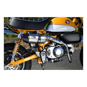 BEAMS (ビームス) R-EVO2 ヒートチタンサイレンサー ADV160 8BK