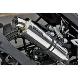 MRA (エムアールエー) スクリーン ツーリング スモーク ZZR1100 D