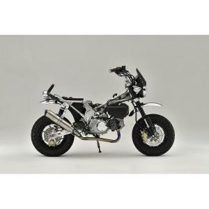 AELLA（アエラ） カーボンハイスクリーン:スモーク BMW S1000RR 19- AS