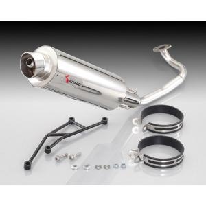 ディオ Realize Dio110 ディオ110 バイクマフラー EBJ-JF31 2011 ディオ Realize Dio110 ディオ110 バイクマフラー EBJ-JF31 2011