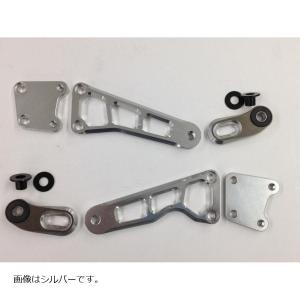 ACTIVE（アクティブ） ステーセット ビッグラジエーター T-2 ビッグ