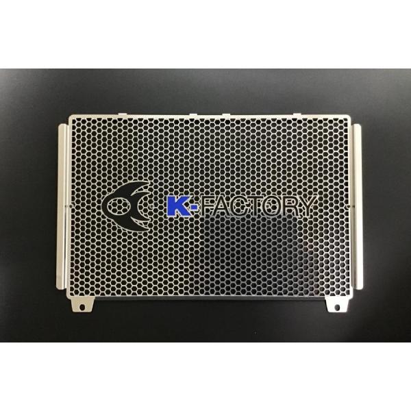 Kファクトリー (ケイファクトリー) ラジエターコアガード Aタイプ Ninja1000 ニンジャ1...