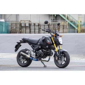 スペシャルパーツ武川 SP武川 (SPタケガワ) スポーツマフラー