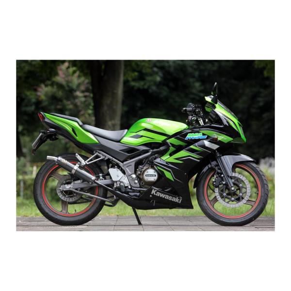 SP忠男 (SPタダオ) ジャッカルチャンバー ブラックエンブレム Ninja150RR ニンジャ1...