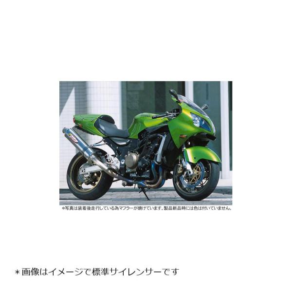 STRIKER (ストライカー) レーシングコンセプト チタン/ヒート ZX-12R