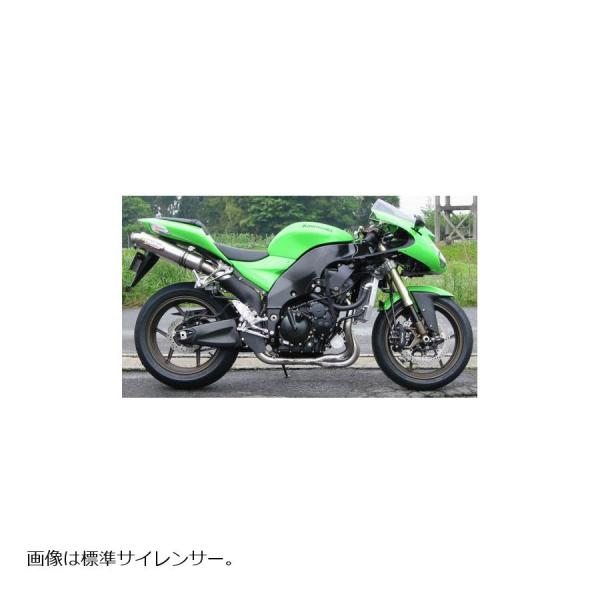 STRIKER (ストライカー) レーシングコンセプト チタン/ヒート ZX10R