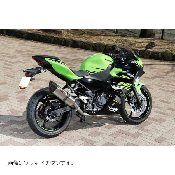 STRIKER (ストライカー) ストリートコンセプトスリップオンマフラー OFF-TYPE B チ...