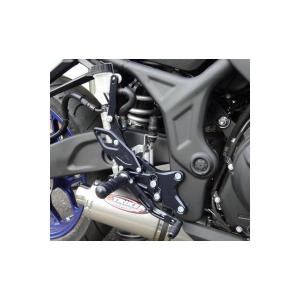 STRIKER（ストライカー） スリップオン マフラー Ninja250 Ninja400