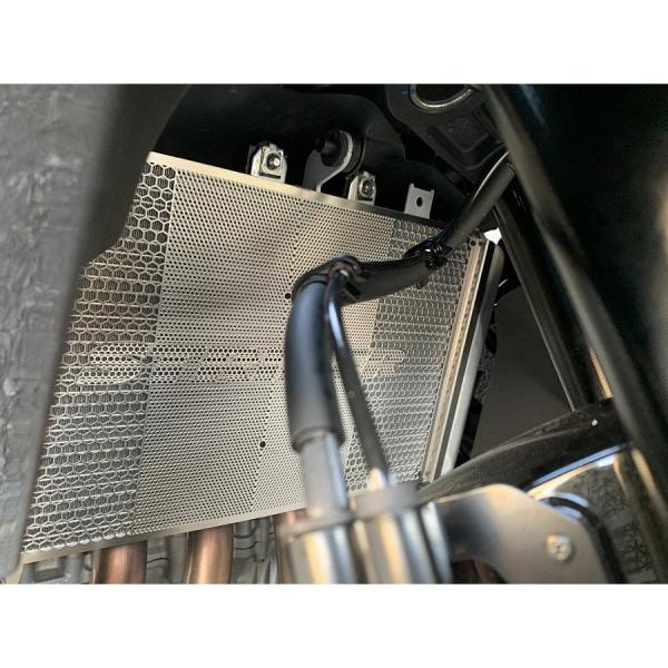 STRIKER (ストライカー) ラジエターコアガード Ninja ニンジャ ZX-25R ZX25...