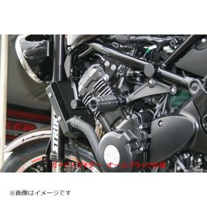 STRIKER (ストライカー) エアロデザイン チェーンカバー STRIKER (ストライカー) エアロデザイン チェーンカバー