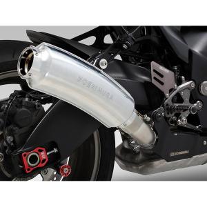 AKRAPOVIC (アクラポビッチ) スリップオンライン チタン