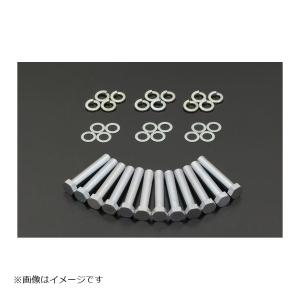 AKRAPOVIC（アクラポビッチ） レーシングライン チタン BMW S1000RR 19