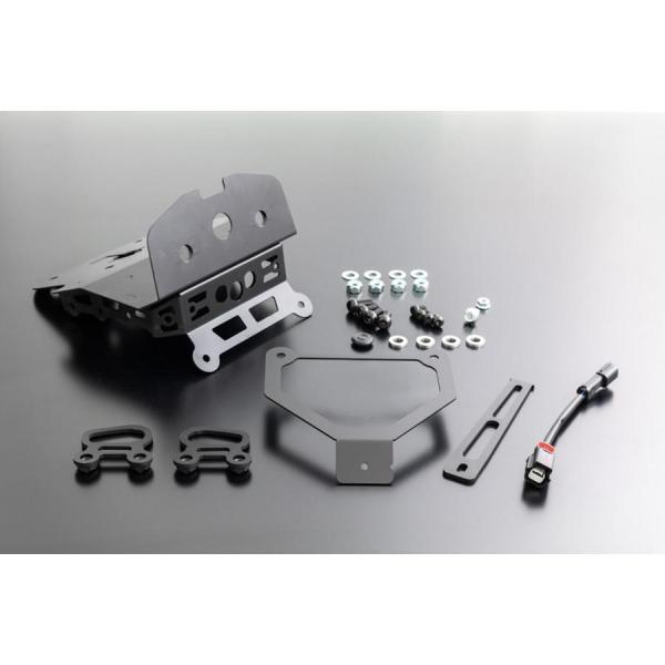 PMC (ピーエムシー) アイアンフェンダーレス ロングテール専用 Z900RS 189-1306