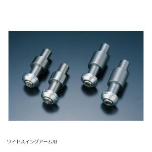 PMC (ピーエムシー) キャスティングレイダウンアダプターキット Z1/Z2