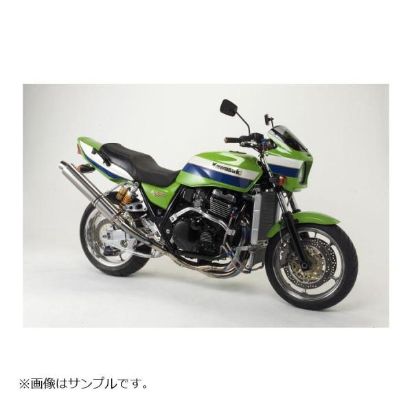ACTIVE(アクティブ) サブフレーム ZRX1100 ZRX1200 1117034P