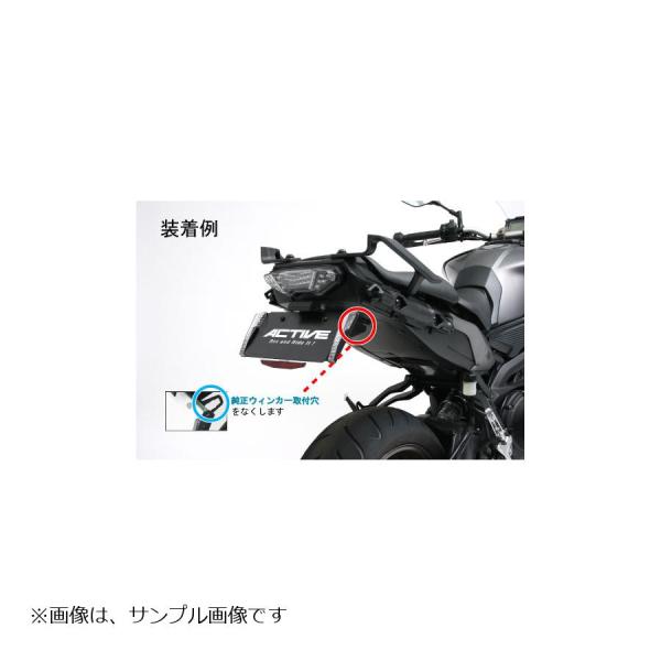 ACTIVE(アクティブ) オプション ウィンカーレスステー 40° フェンダーレスキット LED ...